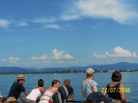 2006