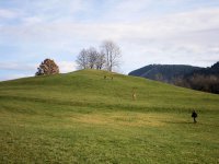 JuLa2010_075_qg