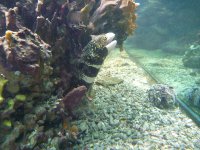 P1010936_qg