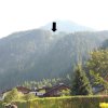 DSCN1037_qg
