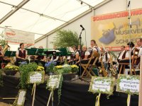 Schlierbach Umzug