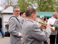 Maibaum 2016