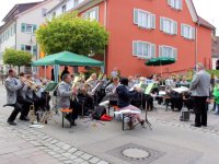 Maibaum 2016